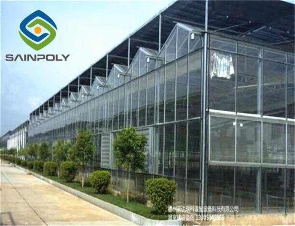 Hermetic Agricultural Glass Greenhouse , Venlo Greenhouse Structure Aluminium