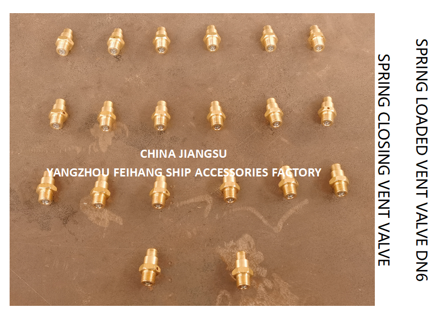 DN6 Spring Loaded Vent Valve with Thread M13 Connection Compliant with CB/T3778