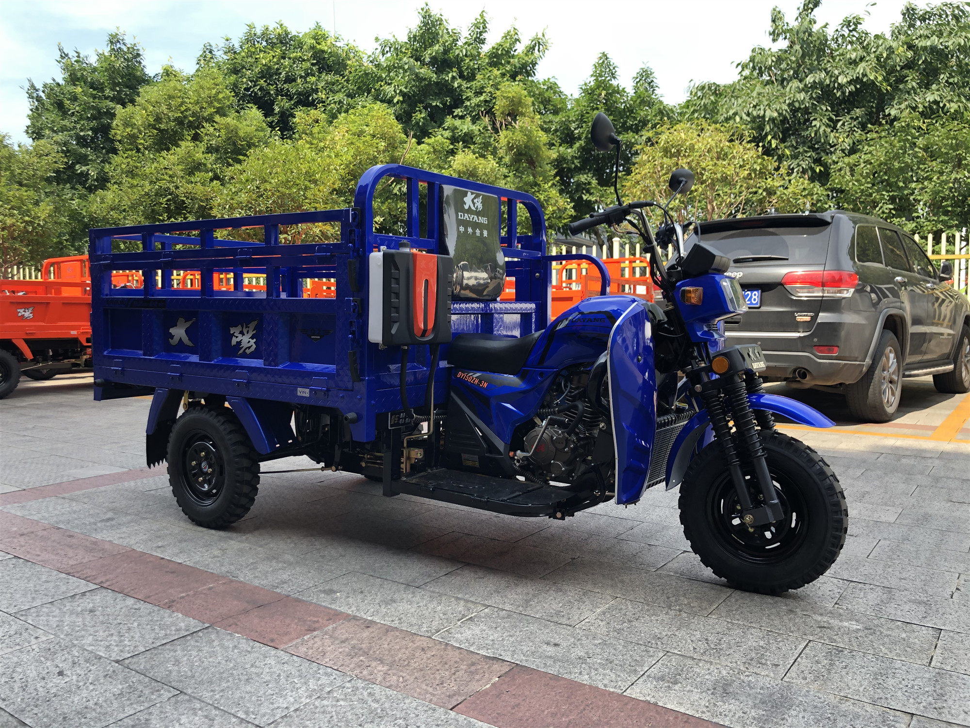 DAYANG Heavy Loading Tricycle 175CC/200CC/250CC Q2 Cargo Tricycles for Cargo Delivery