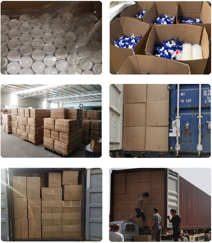 Pilfer Proof PP Cap Empty Motor Oil Bottles 4L Car Oil Containers Package SGS