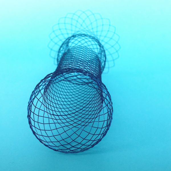 Quality CE Certificated Esophageal Stent System Implant Materials & Artificial Organs for sale