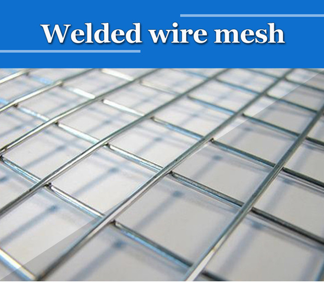 Galvanized Steel 3d Welded Wire Mesh Panels For Farm Fence And Household Cage