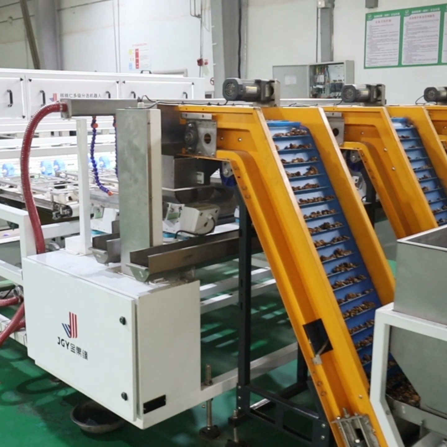 China Industrial Grade High Resolution Walnut Kernel Sorting Machine FPGA Image Processor Multi Angle Camera Nut Defect Sorter on sale