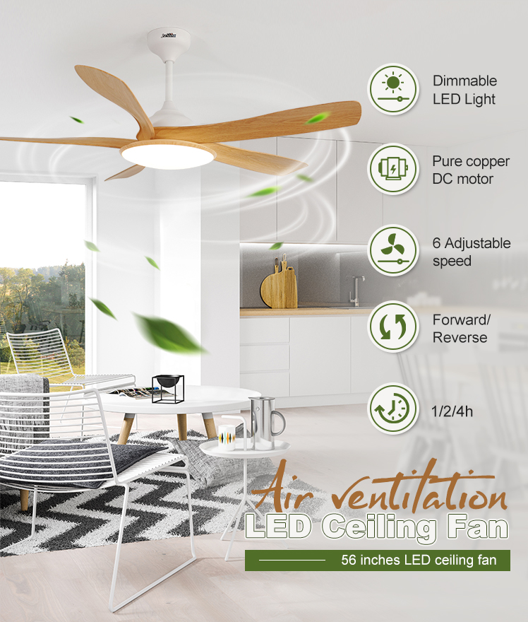 Modern Design 5 ABS Blades LED Ceiling Fan with Silent Motor and ROHS Certification