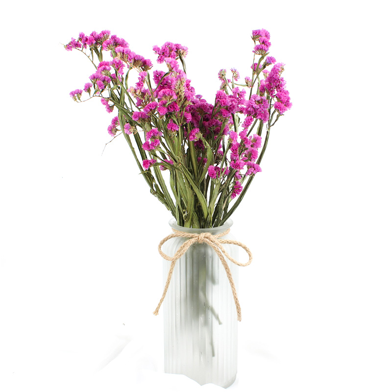 Statice Limonium Beautiful Dried Flowers Beautiful With Long Using Time