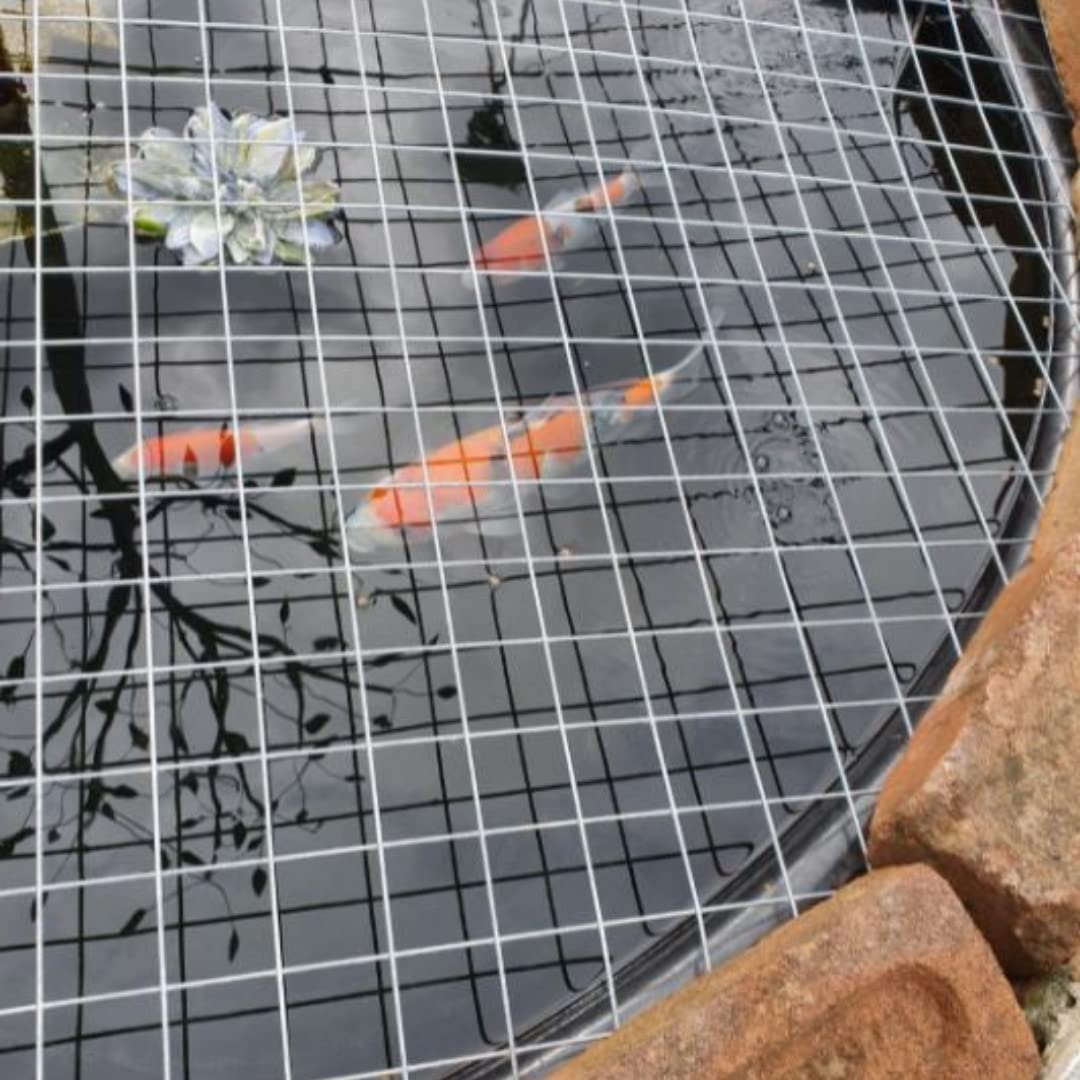 China anping Supplier Quality Galvanized Welded Wire Mesh Panels