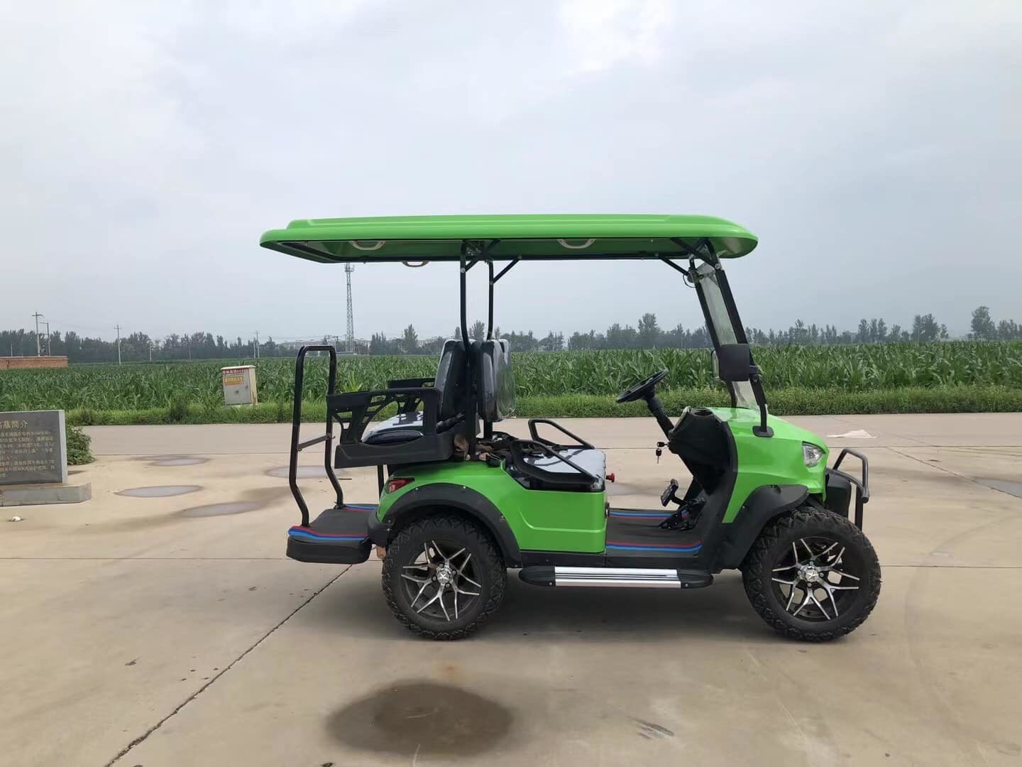 4KW Motor 48V 150AH Lithium Ion Battery 2+2 Seater Golf Cart Personal Customized
