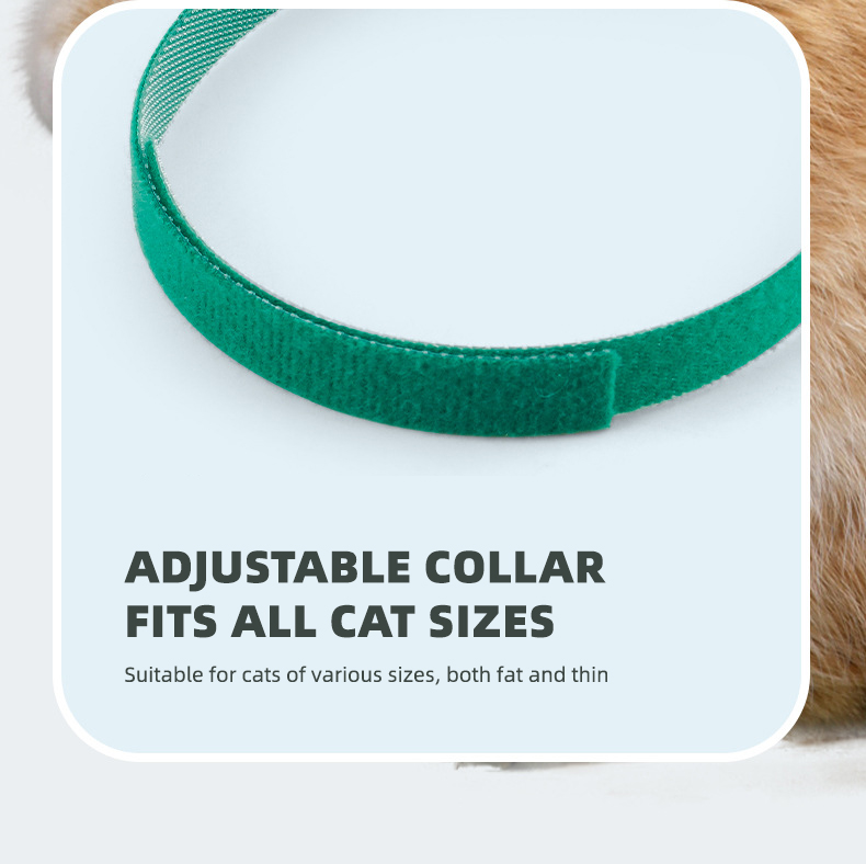 LED Lights Cat Collar Toy Small Animals Remote Controller Interactive Toy