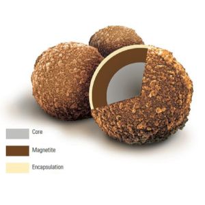 Solution Reagent Kit PROG Fertility Hormone Progesterone Immunoassay Reagents