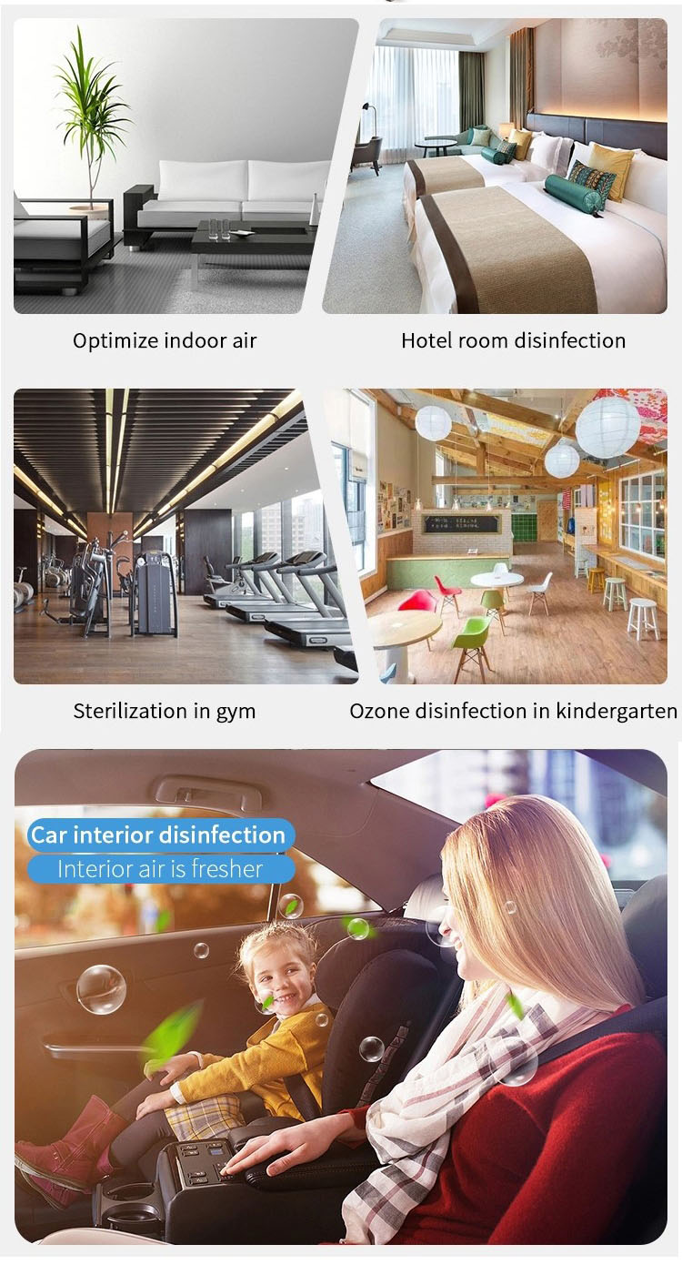 HOMEFISH Commercial Air Purifier Stainless Steel Ozone Generator Air Purifier 110V/220V