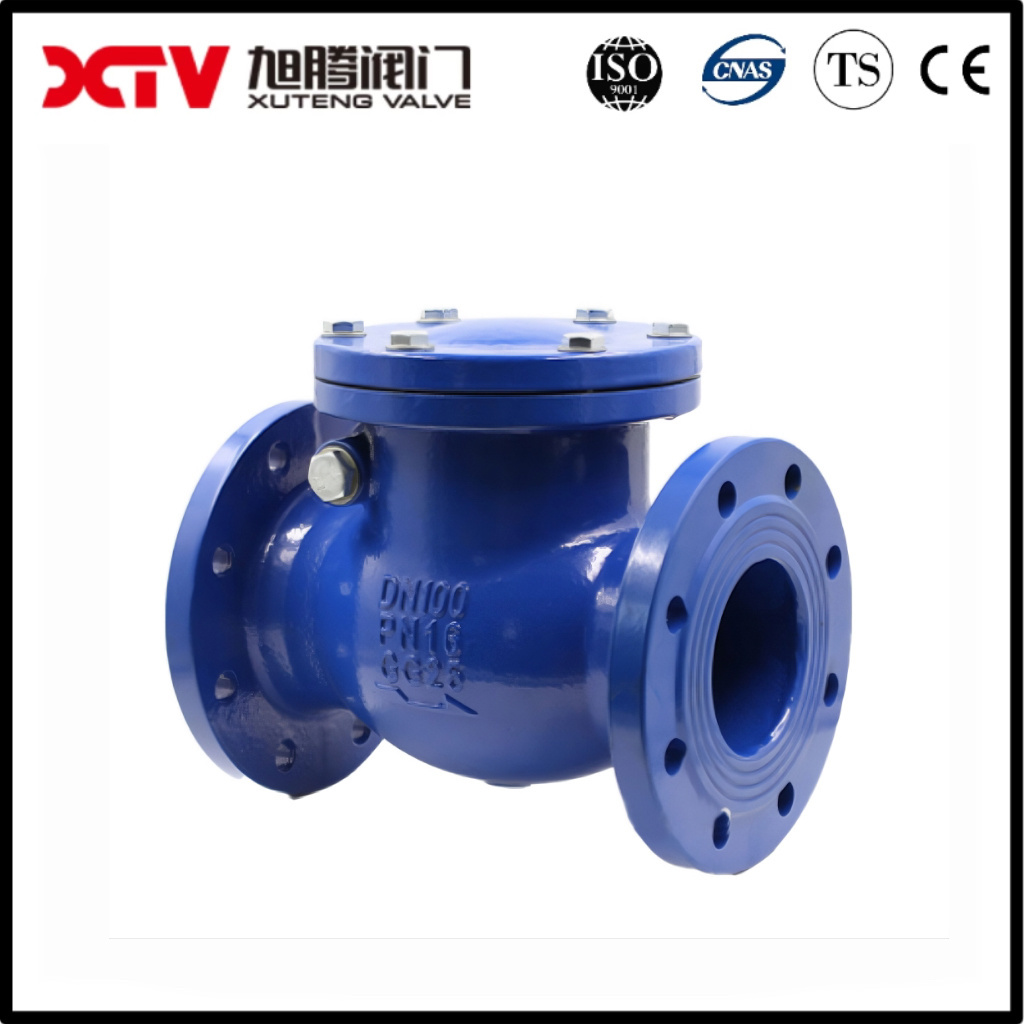 Best Seller DN15 1/2 Inch Stainless Steel Industrial Valve Water Oil Steam Liquid Manual Flange Swing Check Valve