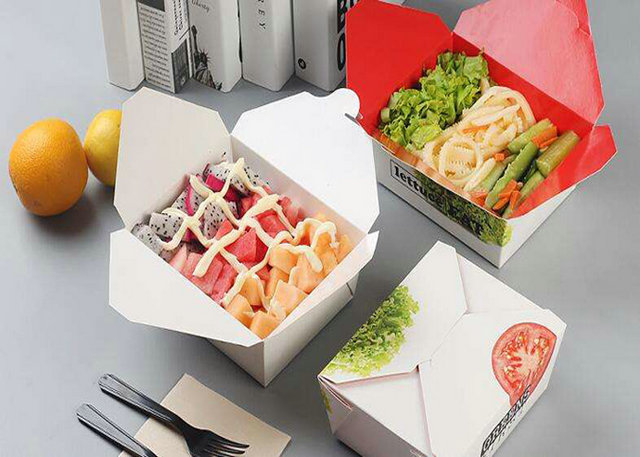 Single Side Coated White Board Food Grade 300gr & 15gr PE Making To - Go Box