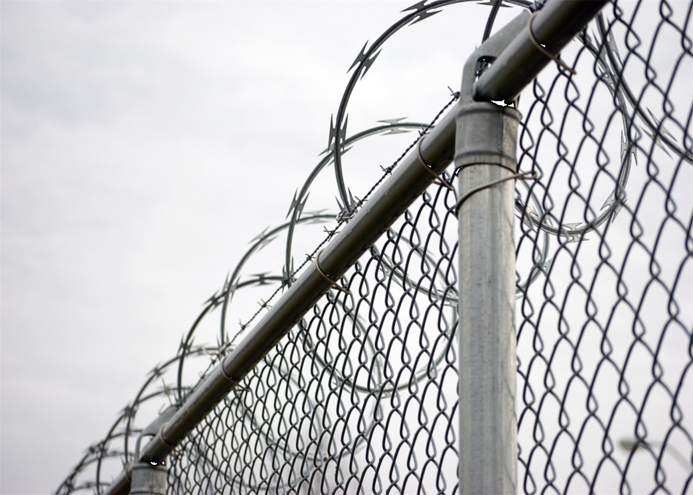 china competitive prices pvc coated wire mesh chain link fence