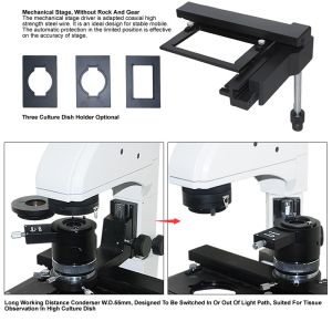 Trinocular Inverted DIC Phase Contrast Microscope A19.0204 100x - 400x