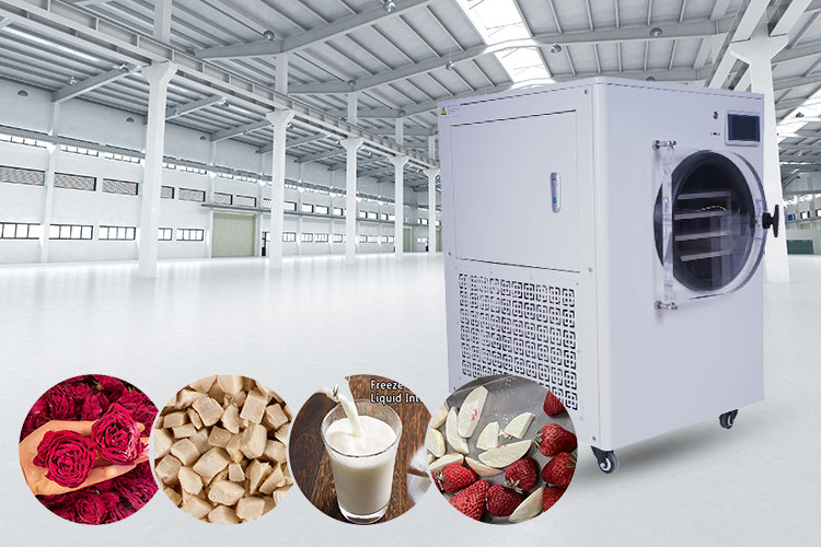 Bitzer Refrigeration Unit Home Food