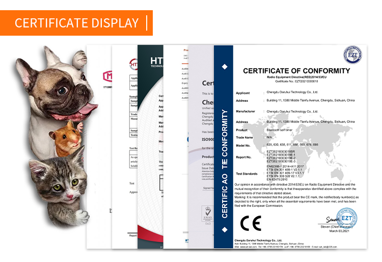 Smart Electric Ceramic Automatic Cat Feeder For Pet Drinking
