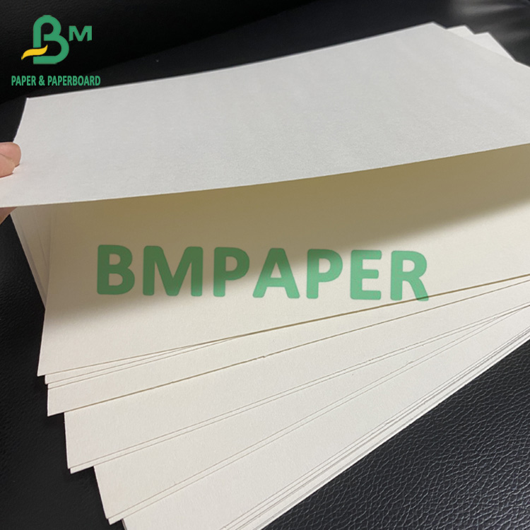 Blotter Paper