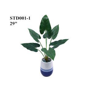 Leaves Of Artificial Tree Branches Anthurium Andraeanum Clear Veins Custom