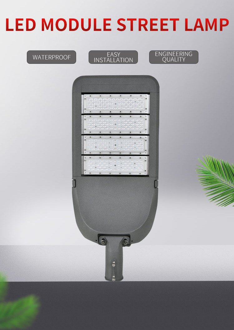 100w 200w 300w High Pole Lamp Municipal Engineering Street Lamp Outdoor Lighting
