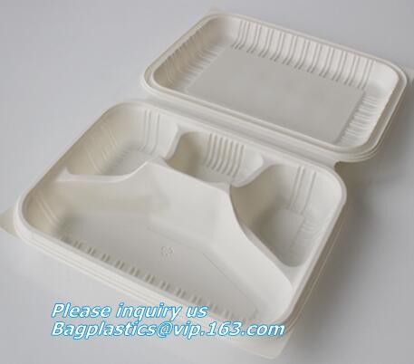 Meal Prep Containers Free Sample Bento Lunch Box Biodegradable Food Container Plastic Wheat Straw Lunch Box bagplastics