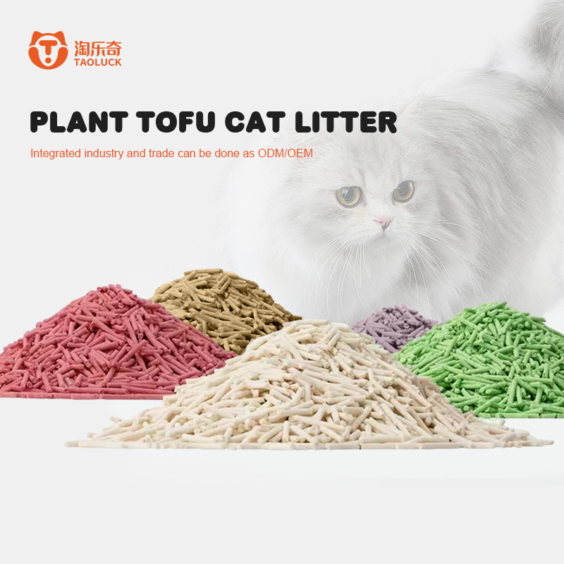 Dia 1.5mm Clumping Dust Free Cat Litter Quickly Absorb Tofu Sand Litter For Cats