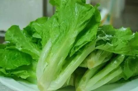 Leafy Vegetable Shipping Container Garden