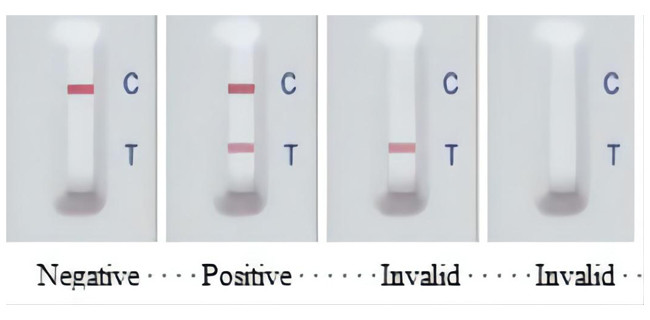 Porcine Reproductive And Respiratory Syndrome Virus PRRSV Antibody Test Kit For Swine