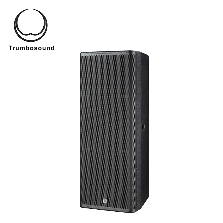 Dual 15 inch outdoor speaker full range stage speaker 2-way 15 inch speaker with two 15 inch TR215