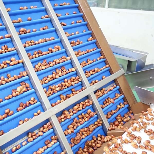  Optimal Hardness and Softness Sorting 1.4 Tons Output 6-Lane Palm Dates Sorting Machine with CE MD Certificates Manufactures