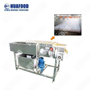 Garlic Slicing Machine Dehydration Line Complete Tomato Processing Line Mango