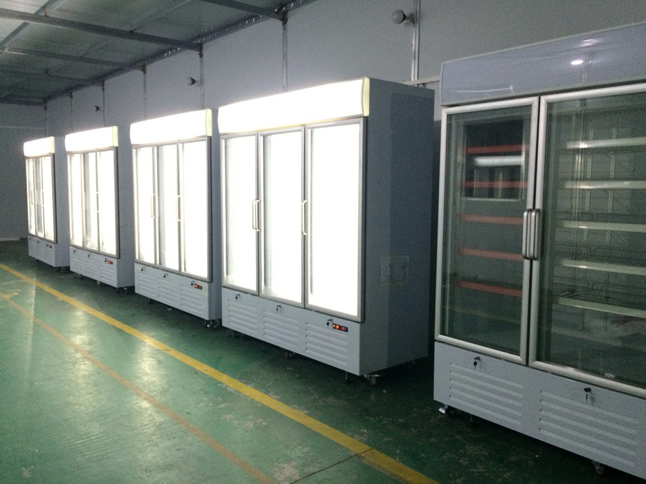Supermarket Reach In Upright Glass Door Freezer Merchandiser With LED Canopy