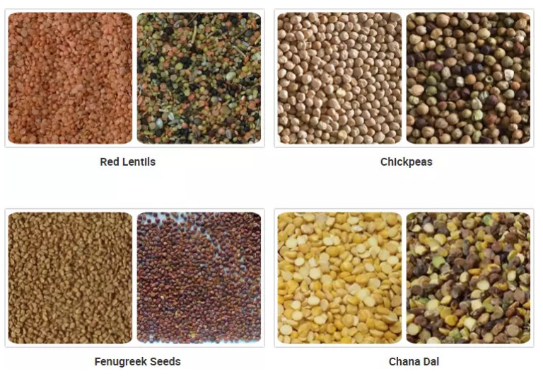 6 Chute Coffee Bean Color Sorter Beans Sorting Machine For Seasoning Plant