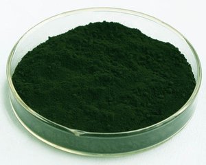ISO Certificated 100% Pure Natural Oil-soluble Chlorophyll