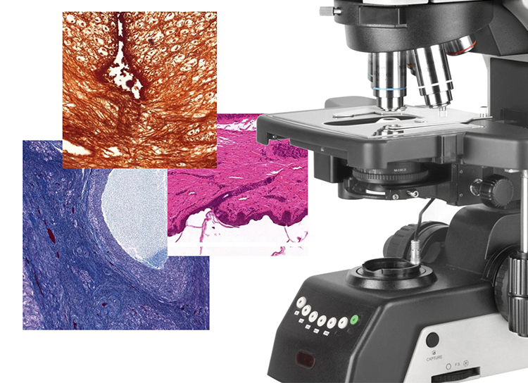OPTO-EDU A12.1091-H Manual Research 25mm Science Lab Microscope