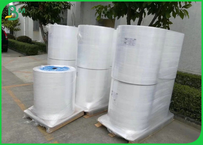 Water Proof 1057D 55g Dupont Tyvek Paper For Tote Bag 0.889 X 1000 m
