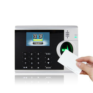 Optical Sensor Biometric Fingerprint Time Attendance Recorder 3000T-C