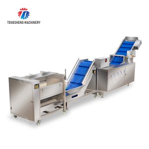 Roller brush bubble washing production line Fruit Vegetable FOOD processing