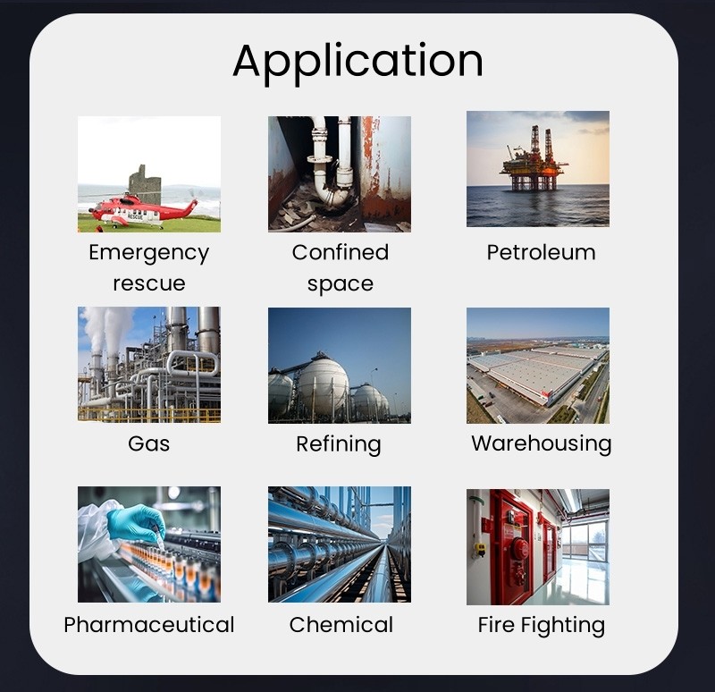 Ptm600-S Smart Gas Analyzer for on-Site Environmental and Safety Monitoring