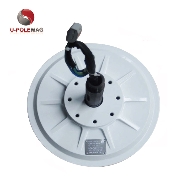 Rare Earth Magnet for Customized AFPMG520-1.0KW/90RPM Inner Rotor Wind Generator