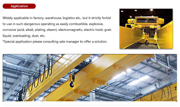 Plants Double Girder Overhead Crane 220V 440V 50/60HZ 3 Phase