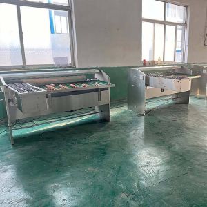 Automatic Egg Sort Grade Weighing And Sorting Egg Machine Egg Grading Process