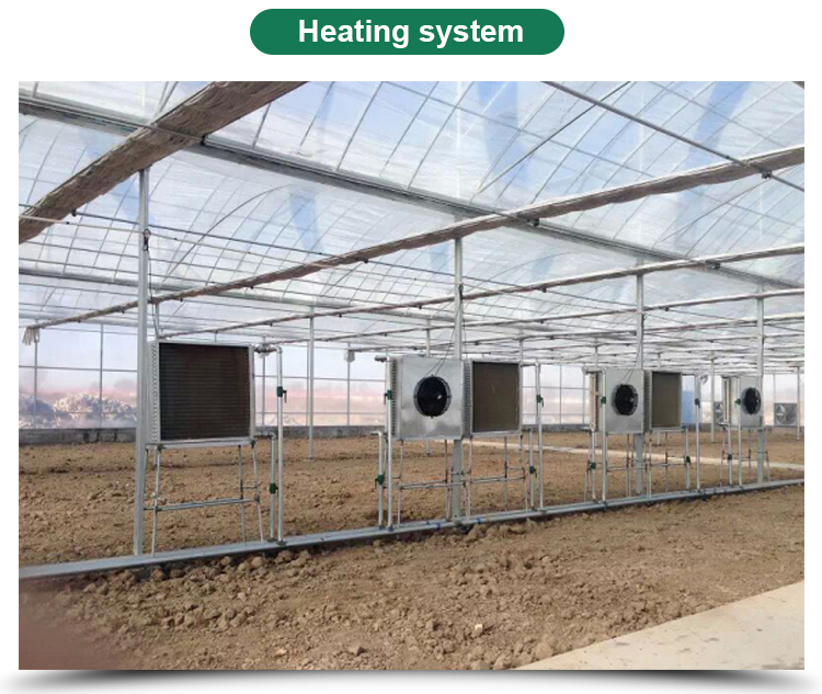 Multi-Span Agricultural Greenhouses Advanced Hydroponic Growing System for Section 4m/8m