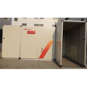 China Custom Sterilization Purifier Machine Pioneer No. 1 Rapid Sterilization Channel on sale