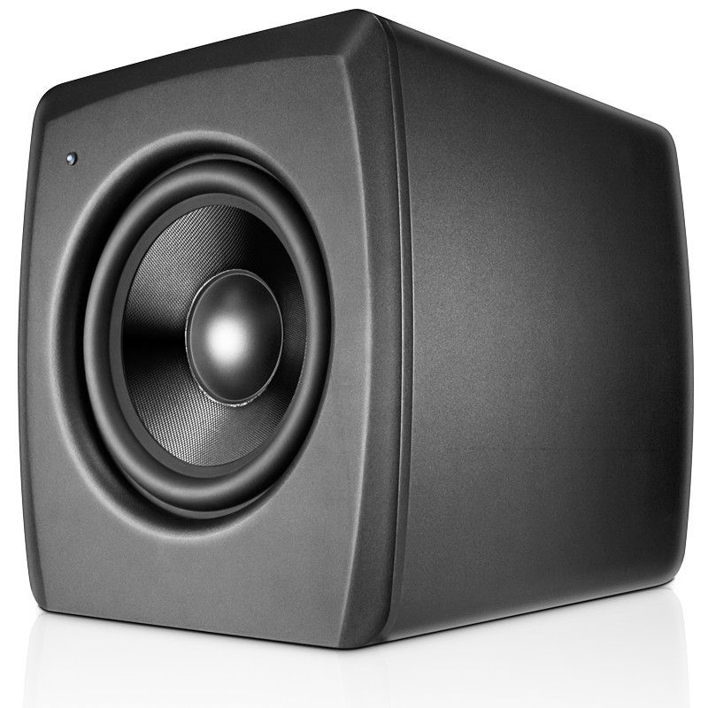 200W 10 Inch Subwoofer Speaker Powered Home Audio Speakers With Dual Audio Inputs