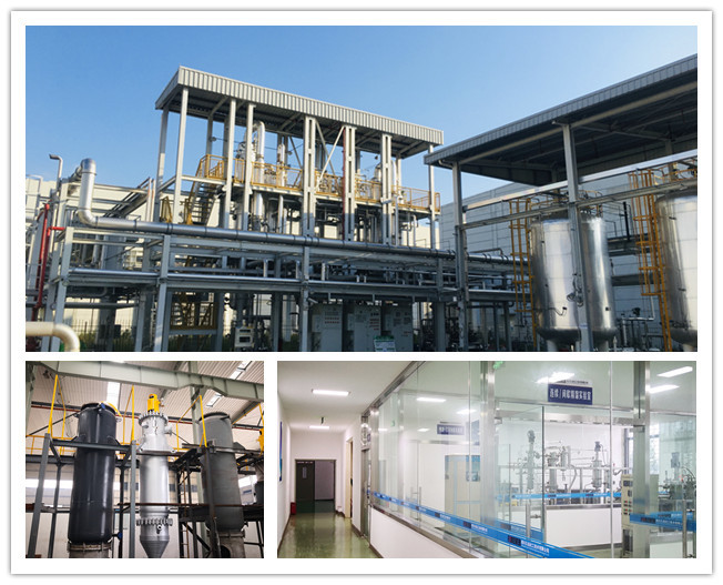 Customized Fine Chemical General Laboratory Equipment Chemical Small Test Device