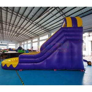 Adult Bouncy Bouncer Outdoor Inflatable Water Slides With Pool