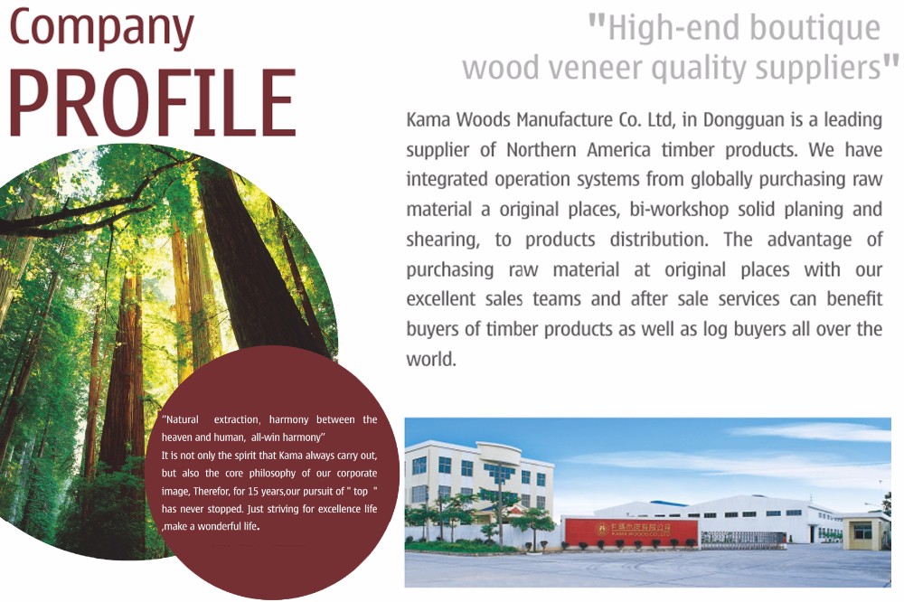 Crown Cut White Oak Wood Veneer White Oak Sliced Veneer for Furniture Doors and Veneered Panel