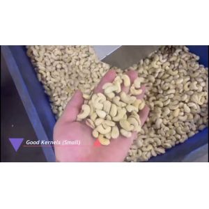 China Advanced Cashew Sorting Equipment For Vietnamese Processors With Local Support And AI-Driven Nut Sorting on sale China Advanced Cashew Sorting Equipment For Vietnamese Processors With Local Support And AI-Driven Nut Sorting on sale