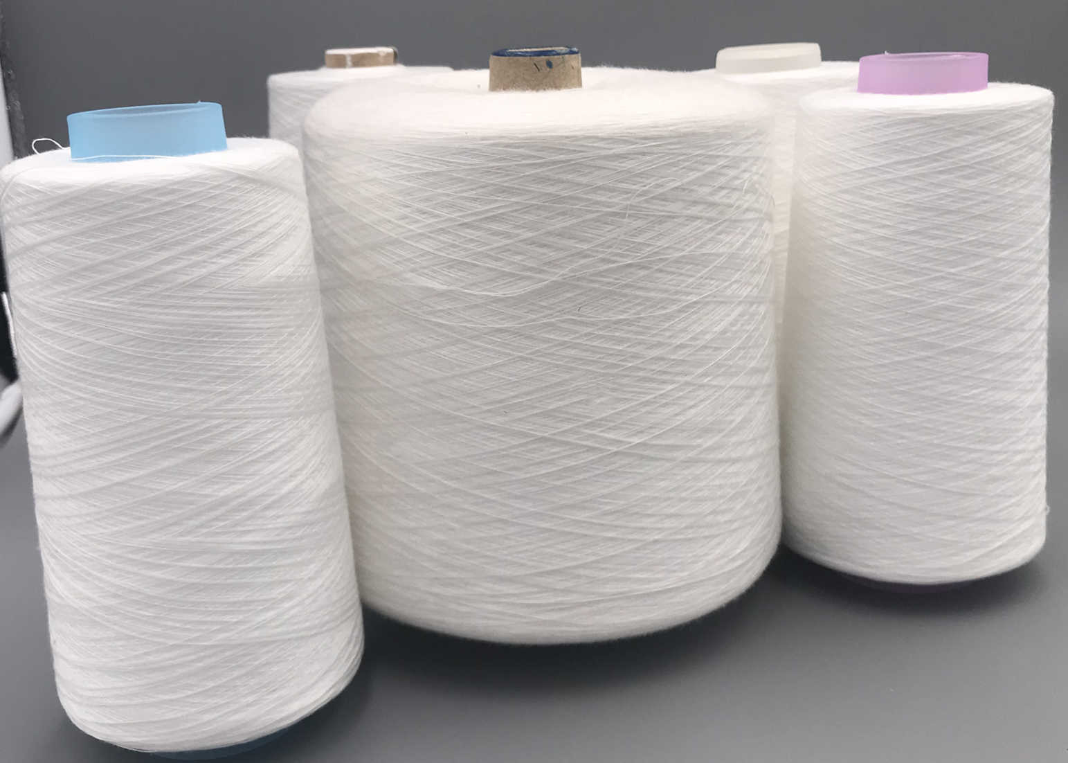 20S/2 Spun Thick Polyester Thread