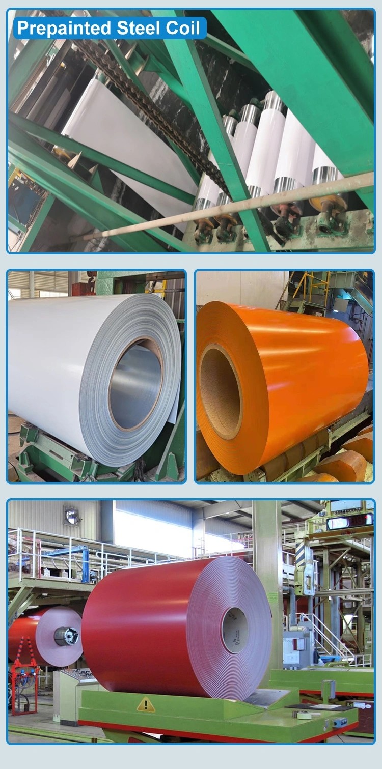 Aluminium PPGL Steel Coil Zinc Coated Nm500 For Construction Plate